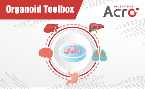 Organoid Toolbox 類器官解決方案
